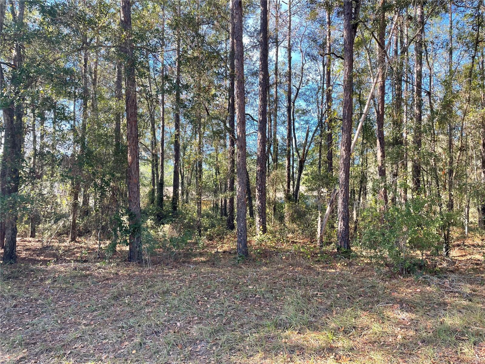 Image 6 of 6 For 10380 Sherman Drive