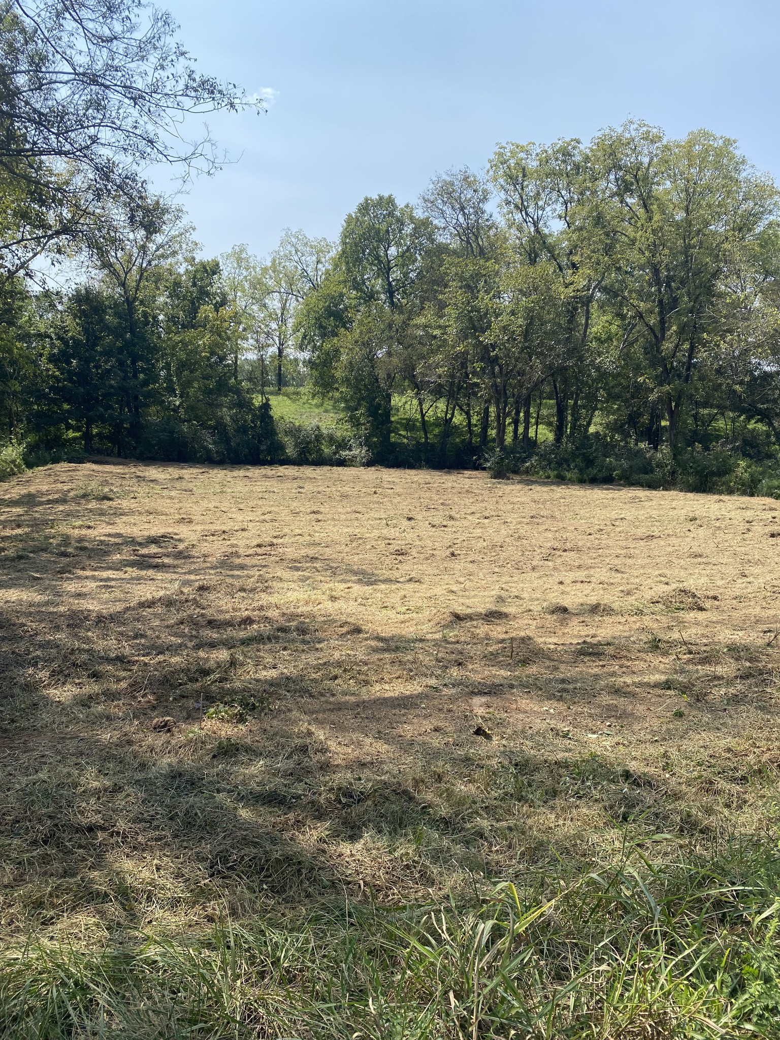 Details for 1001 22nd Avenue, OCALA, FL 34470