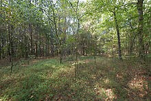 Image 8 of 37 For 13568 109 Lane