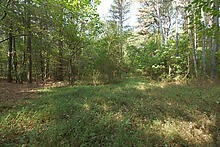 Image 9 of 37 For 13568 109 Lane