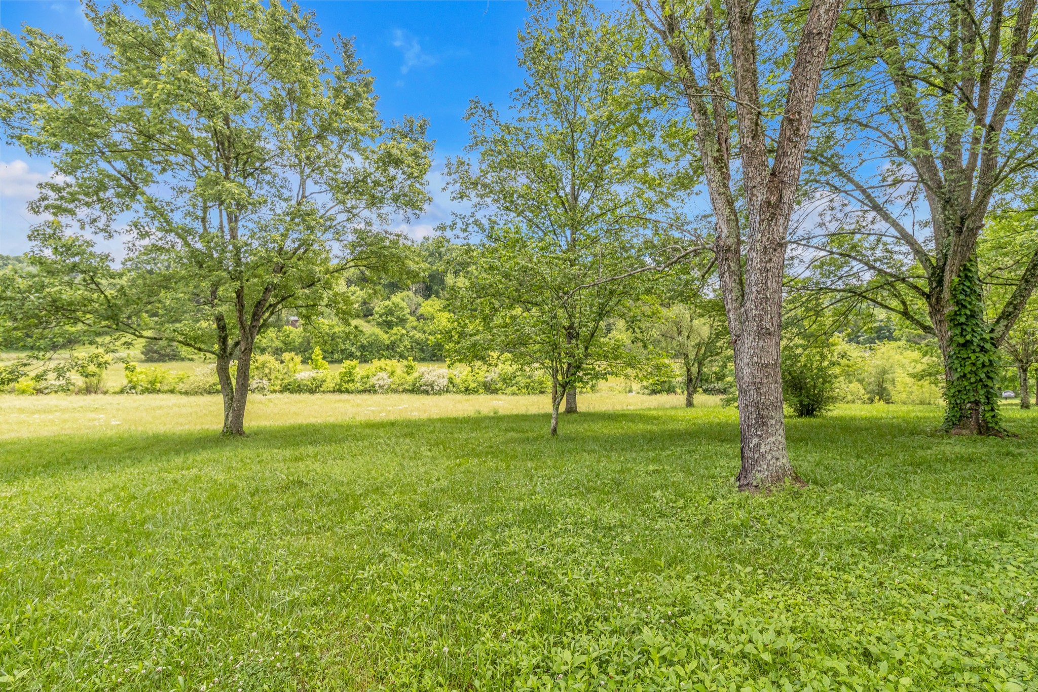 Image 31 of 68 For 5815 70th Street