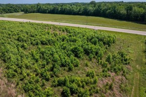 Image 6 of 10 For 0 Highway 641 North