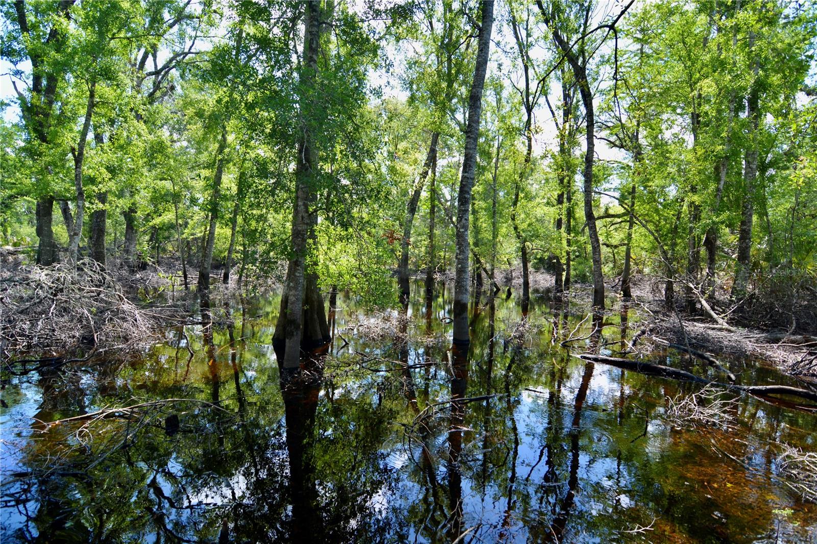 Image 27 of 41 For 00 Leroy Lyons Rd