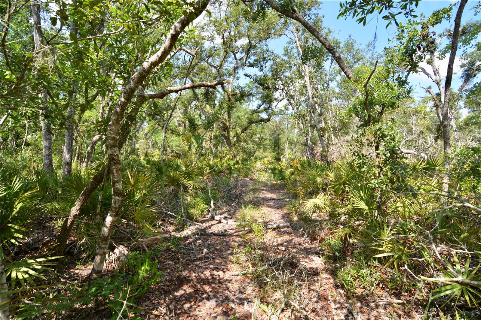 Image 30 of 41 For 00 Leroy Lyons Rd