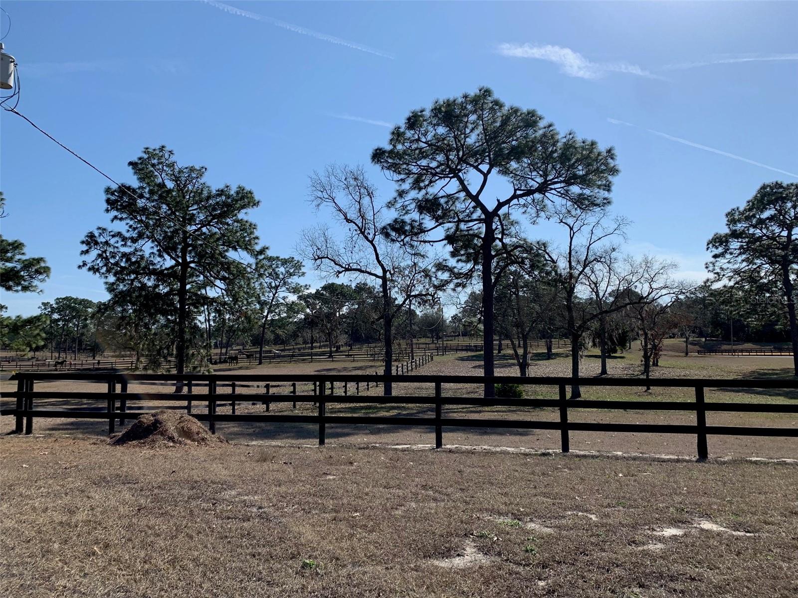 Listing photo id 9 for 2240 Tall Oaks Drive