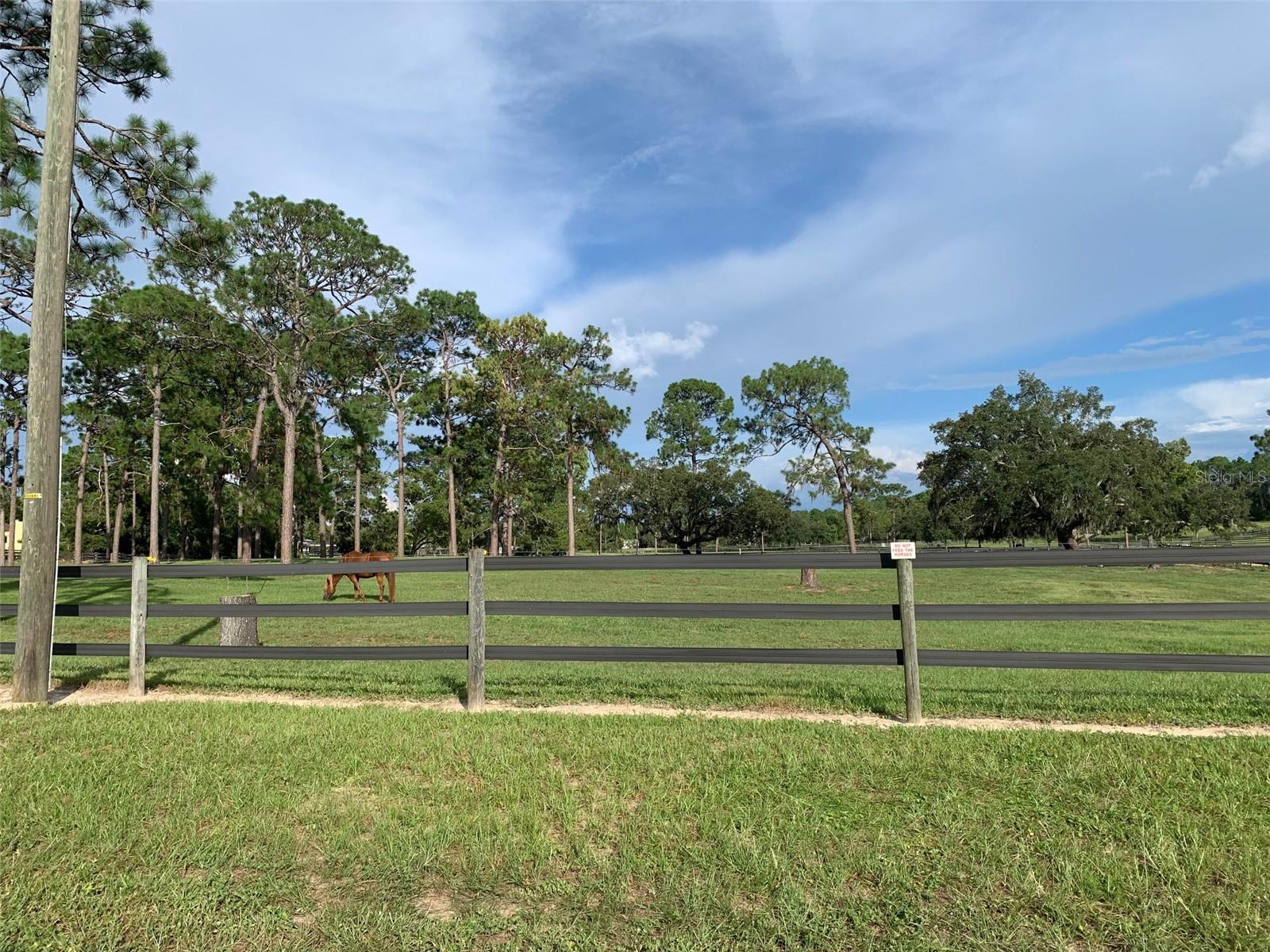 Listing photo id 10 for 2240 Tall Oaks Drive