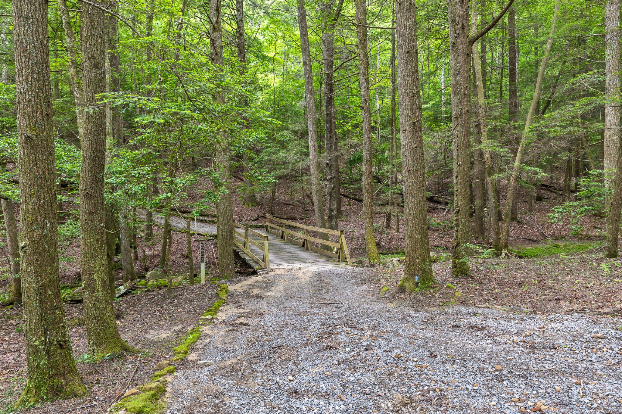 Listing photo id 16 for 13586 Us Highway 27