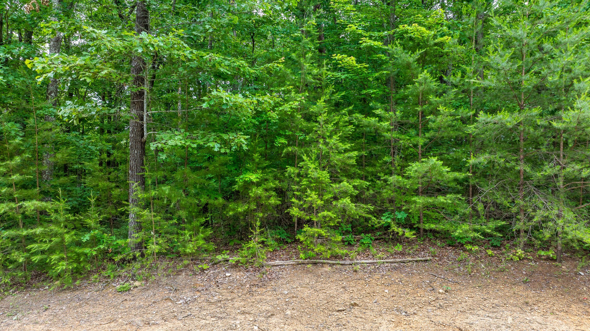 Listing photo id 0 for 13586 Us Highway 27