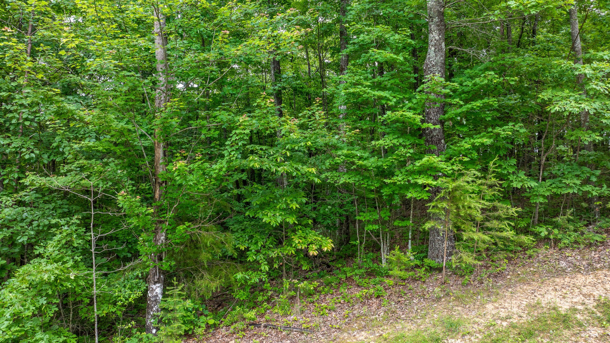 Listing photo id 1 for 13586 Us Highway 27