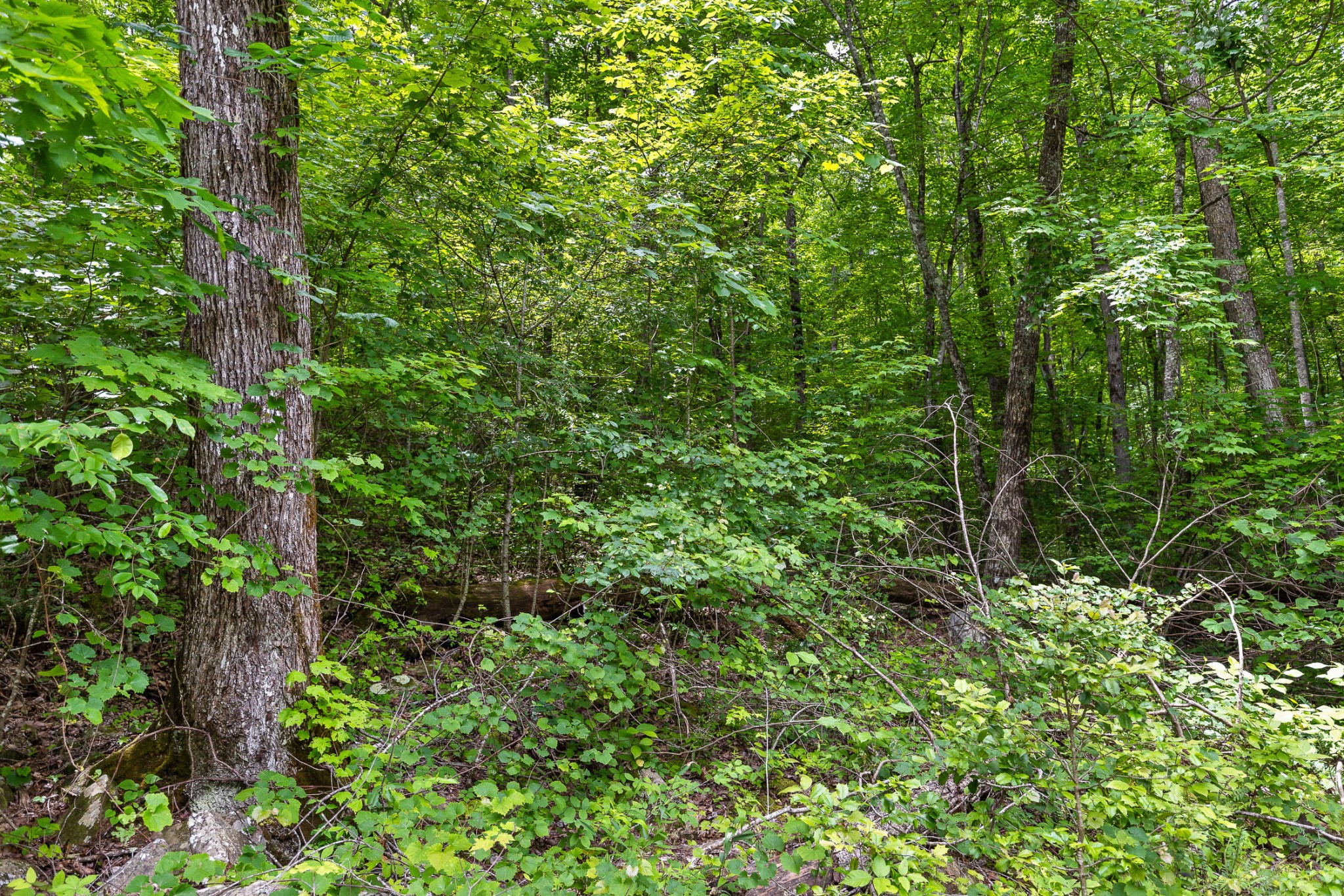 Image 8 of 19 For 6629 110th Lane