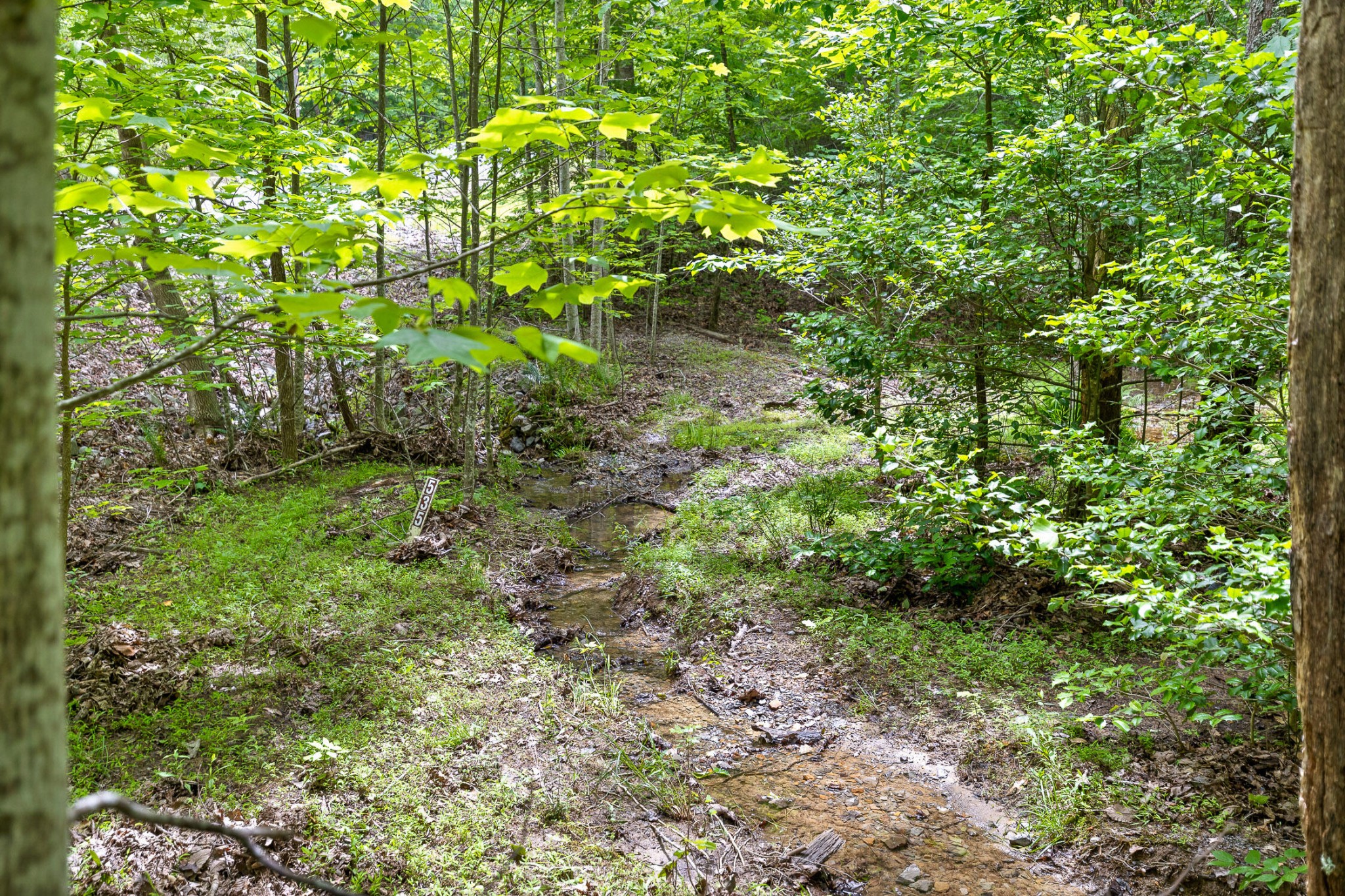 Image 4 of 11 For  64 Street 