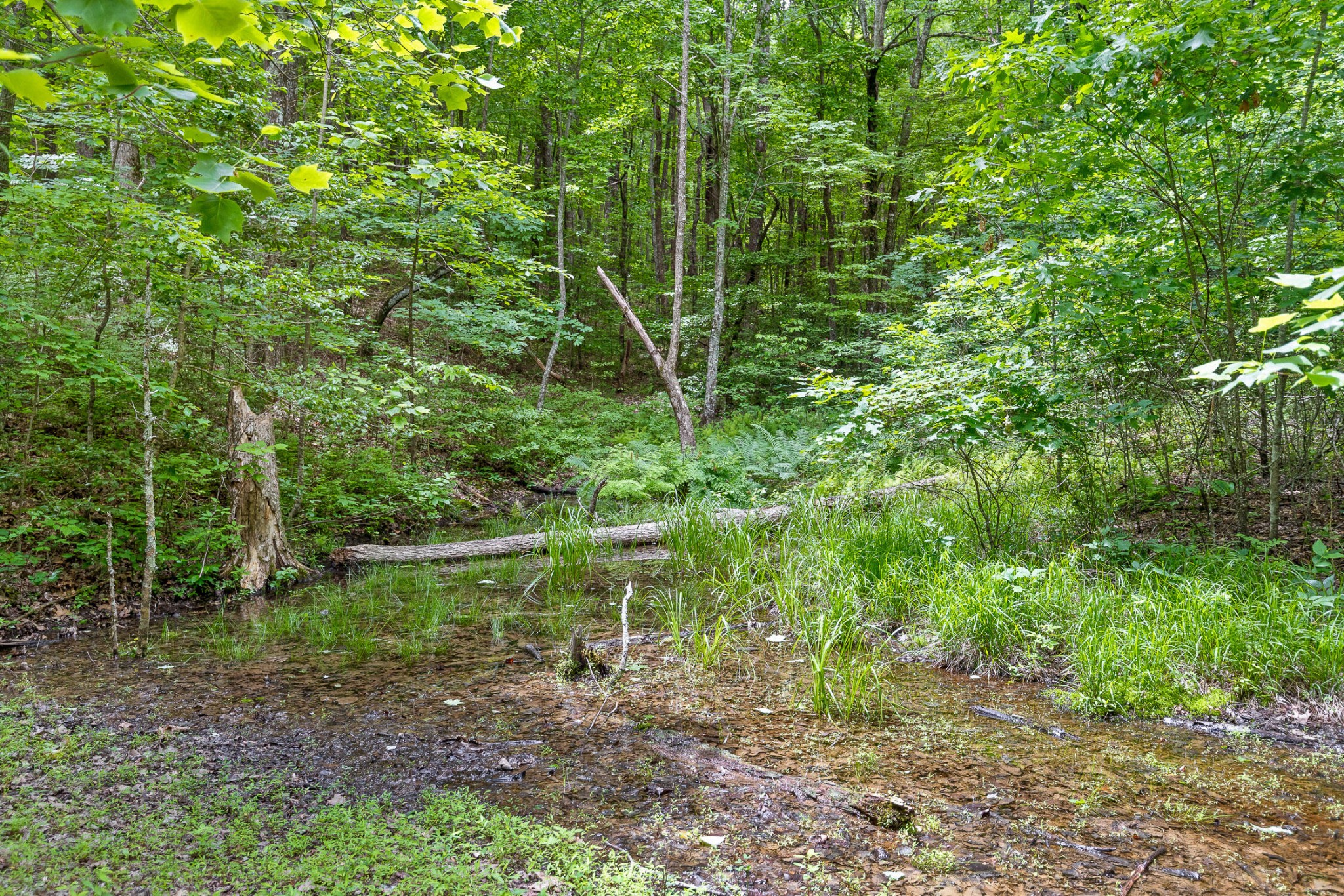 Image 9 of 11 For  64 Street 