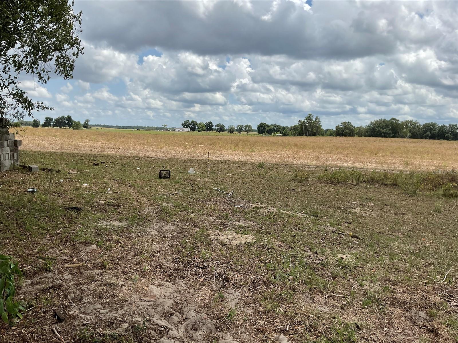 Details for  46th Lane , BRONSON, FL 32621