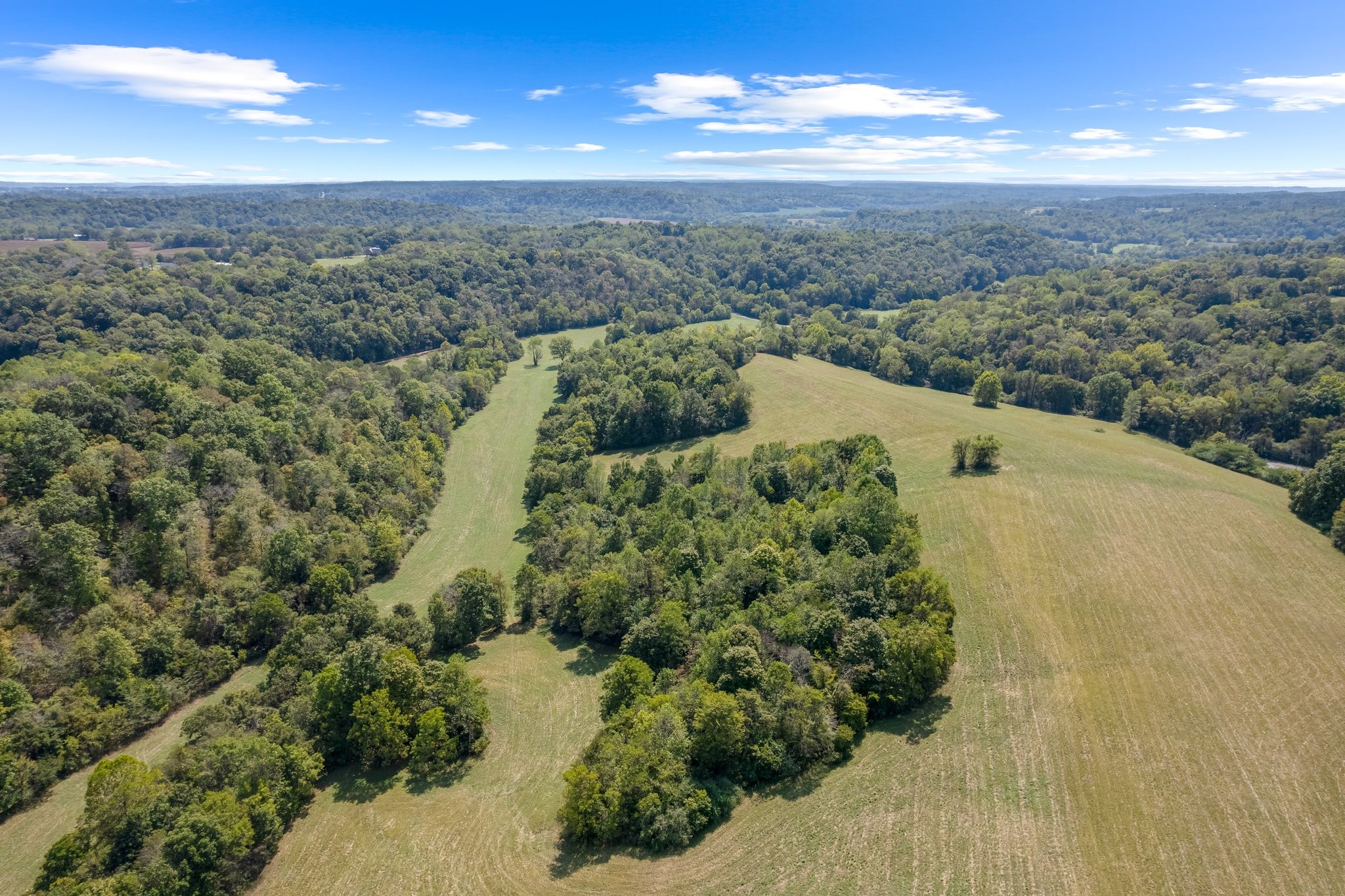 Details for Tbd 192nd Court, MORRISTON, FL 32668
