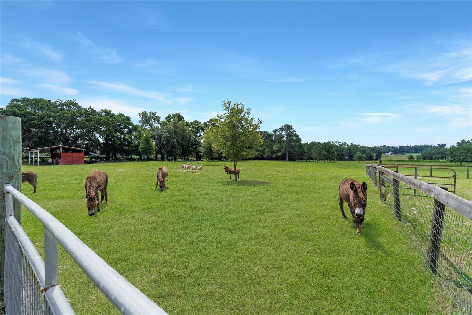 Image 88 of 98 For 16520 170th Street