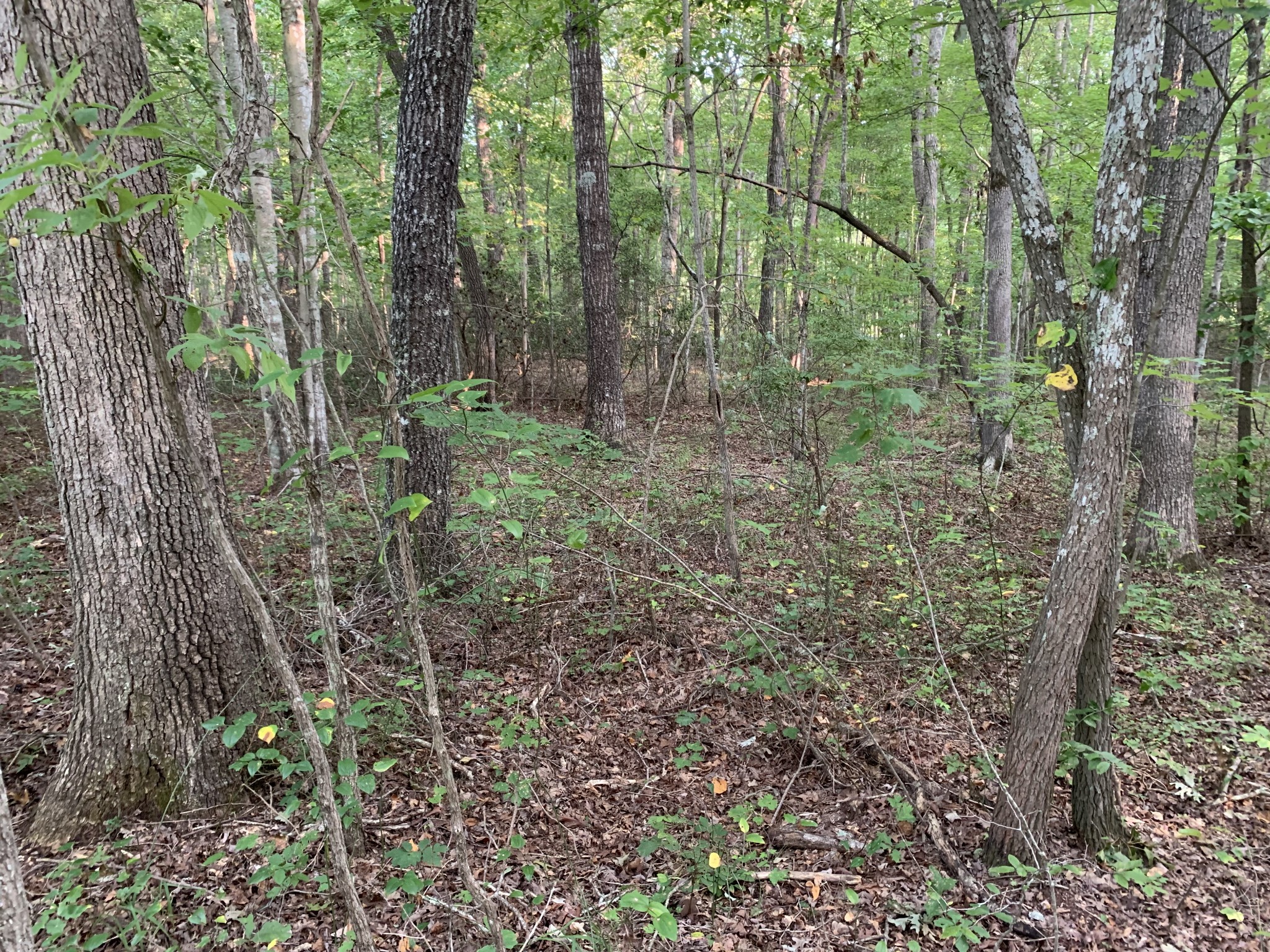Listing photo id 0 for 14550 61st Court
