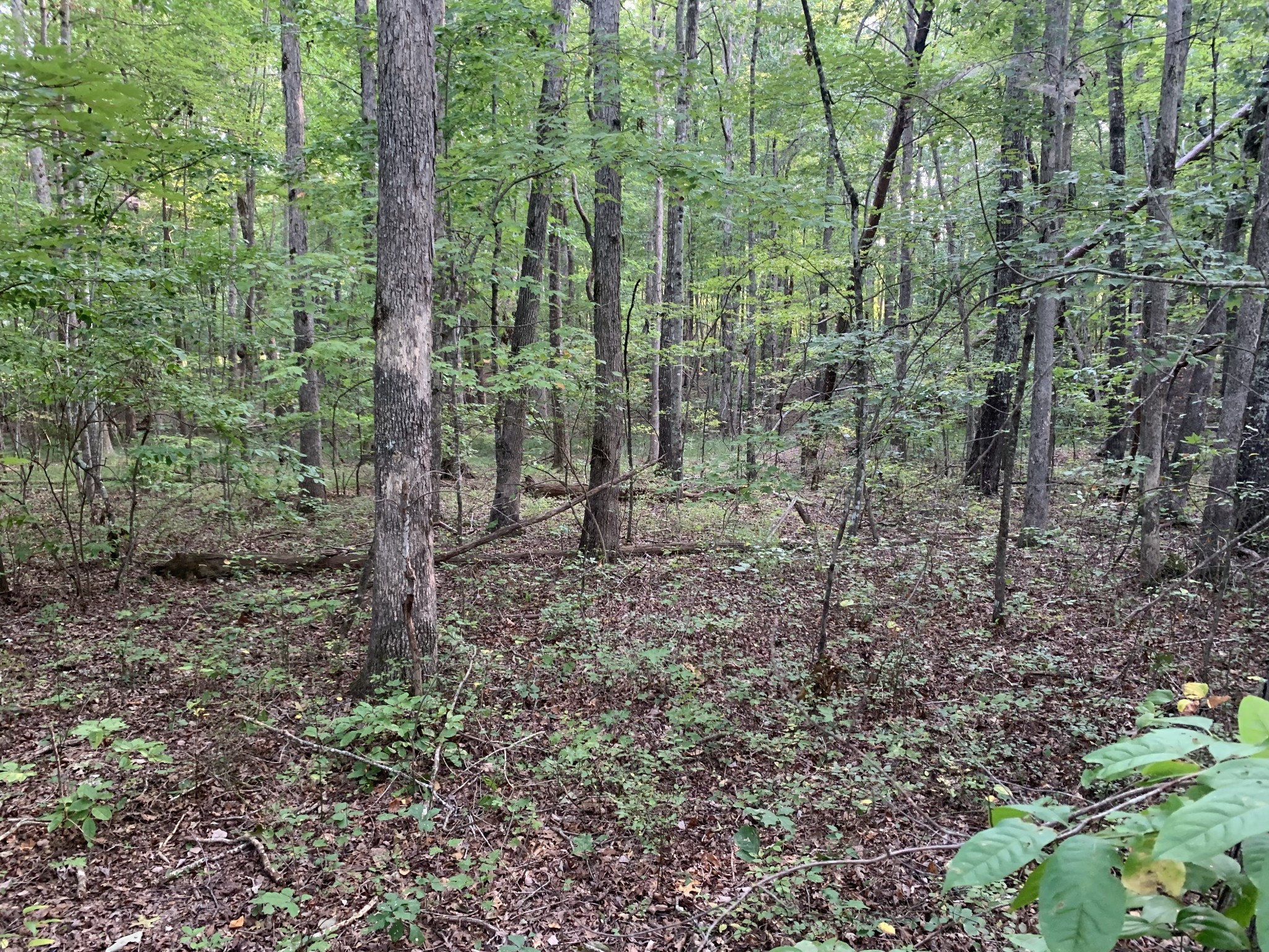 Listing photo id 1 for 14550 61st Court