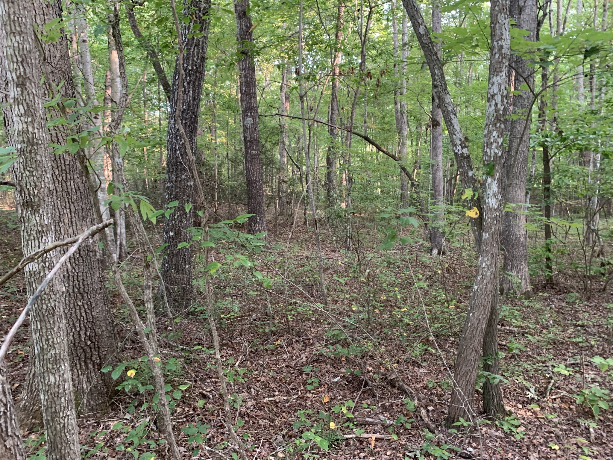 Listing photo id 2 for 14550 61st Court