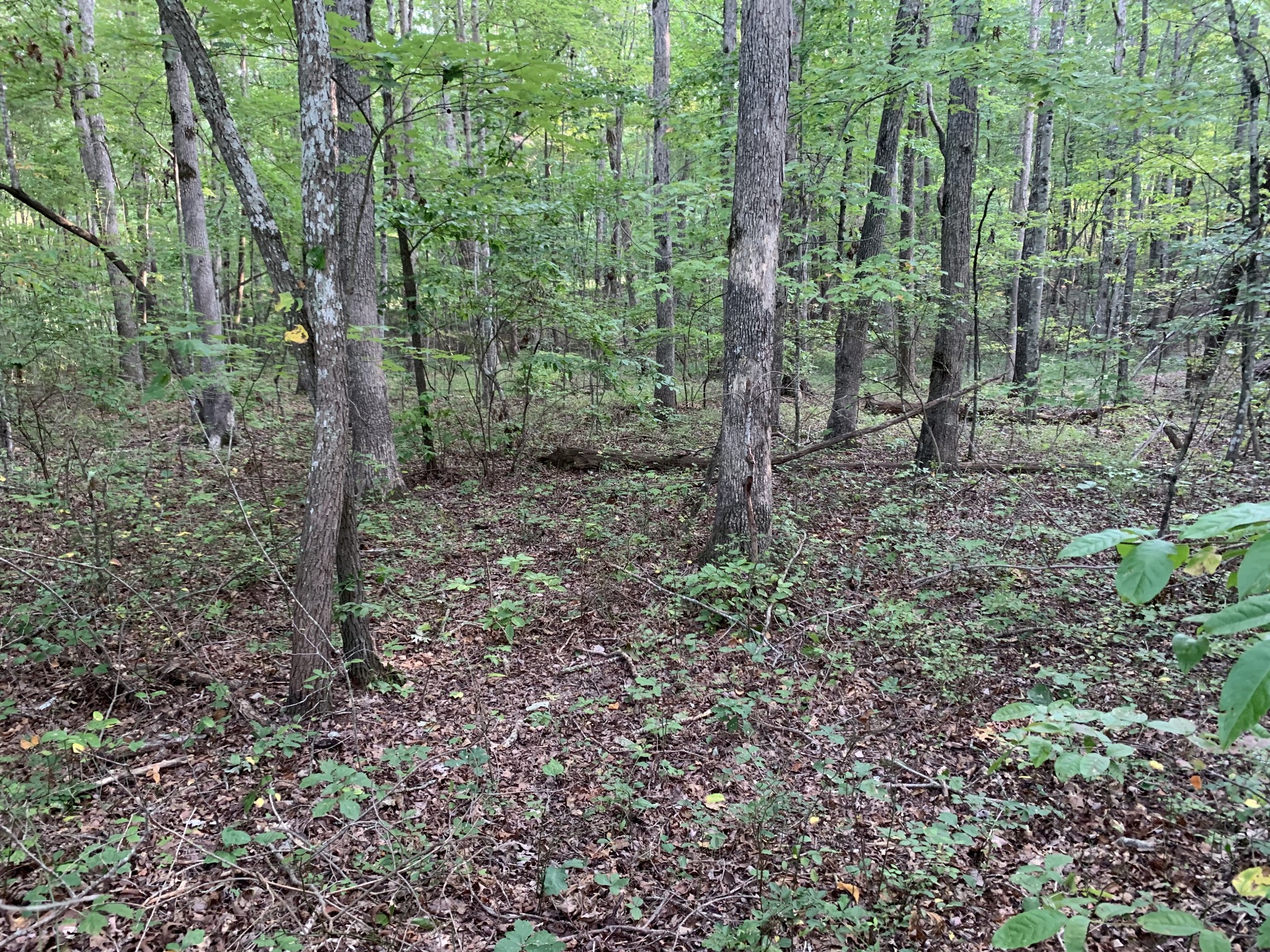 Listing photo id 3 for 14550 61st Court