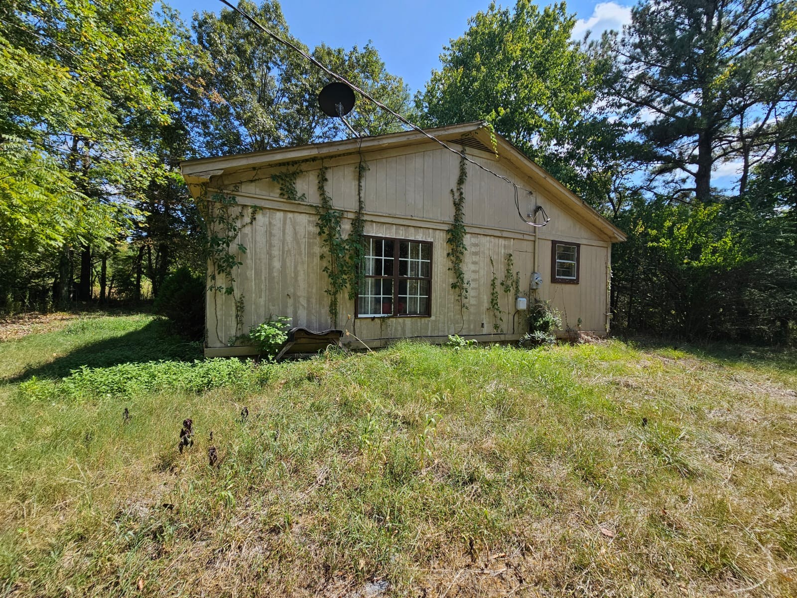 Image 3 of 59 For 445 Rooks Avenue