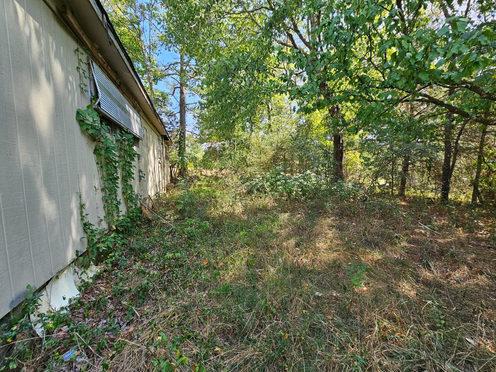 Image 4 of 59 For 445 Rooks Avenue