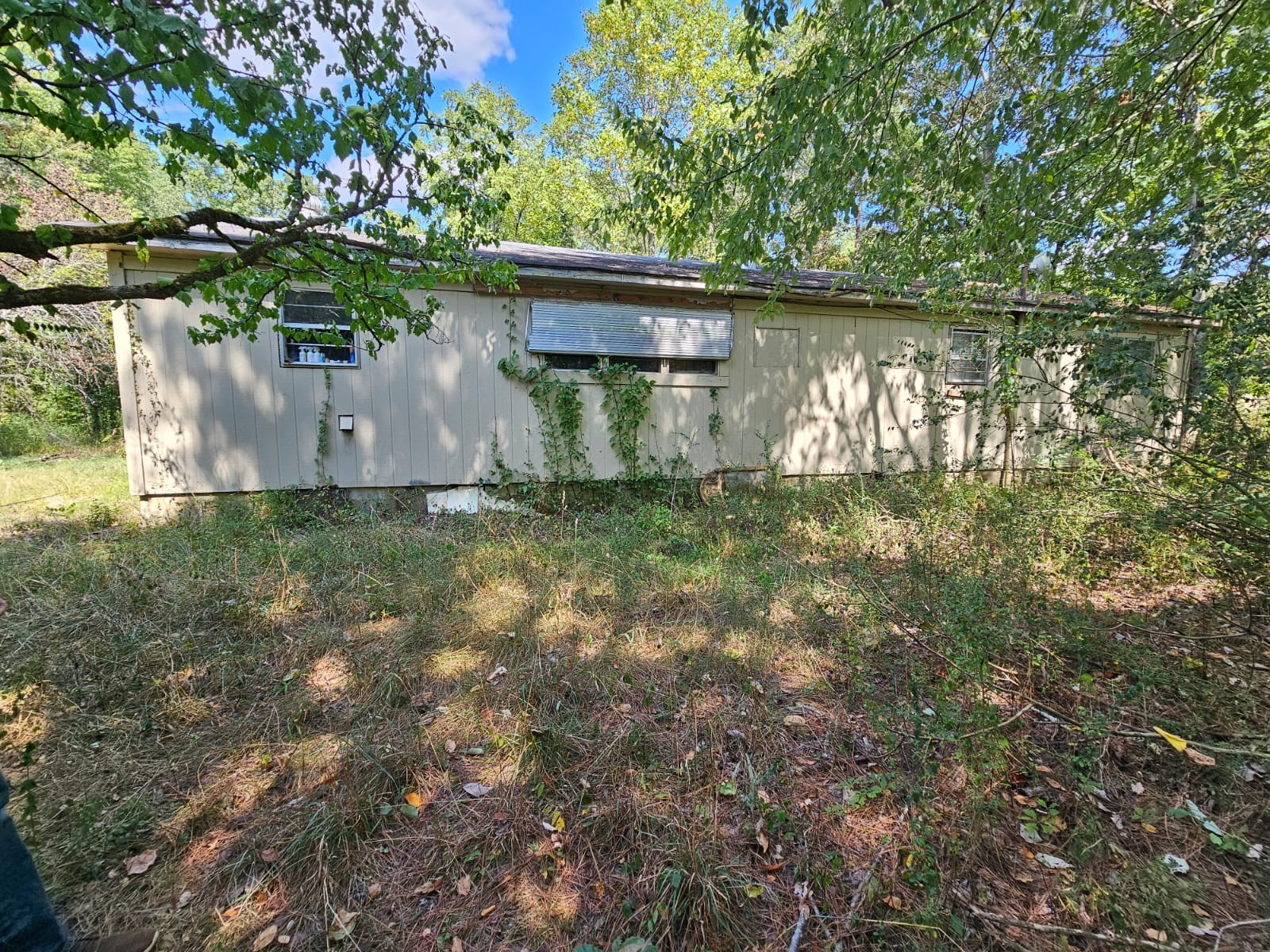 Image 5 of 59 For 445 Rooks Avenue