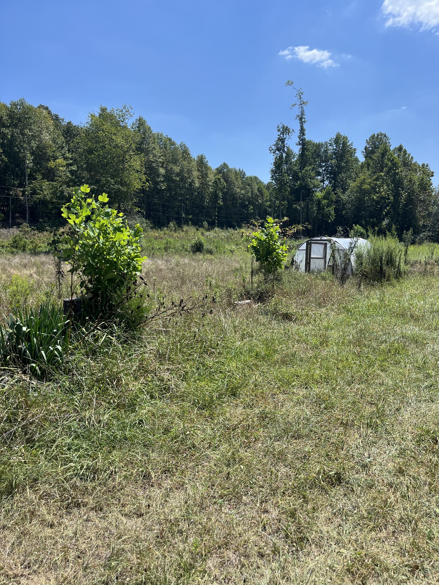Image 7 of 29 For 2200 172nd Avenue