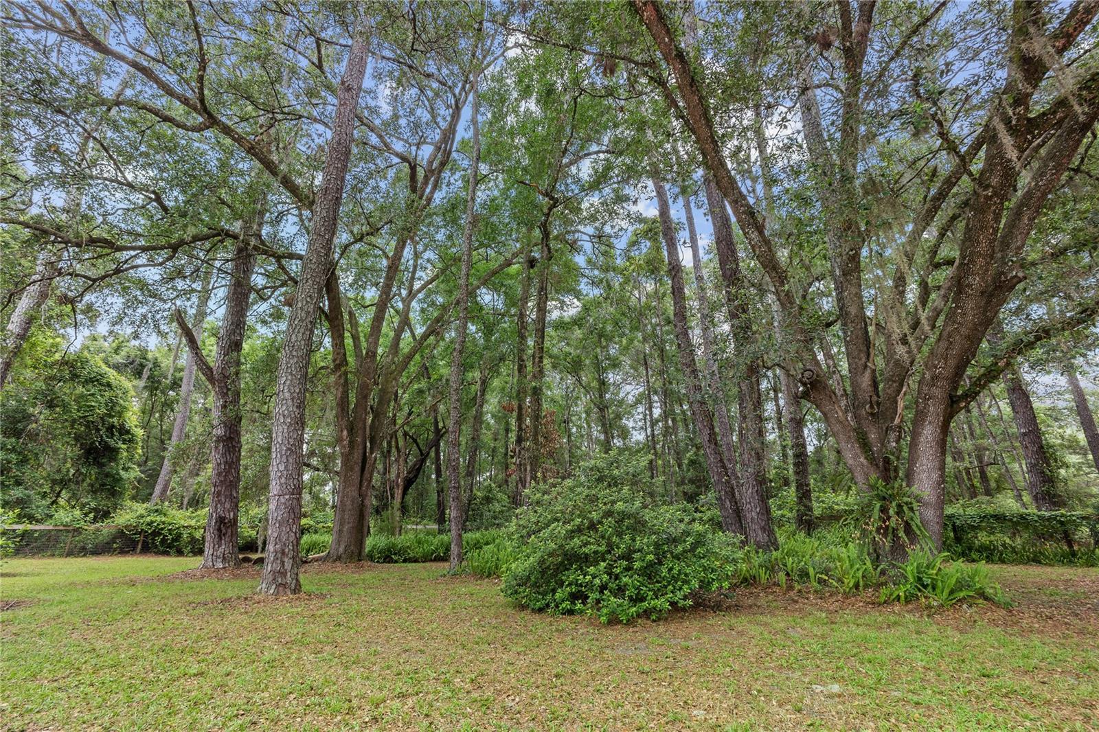 Image 47 of 53 For 5050 155th Avenue
