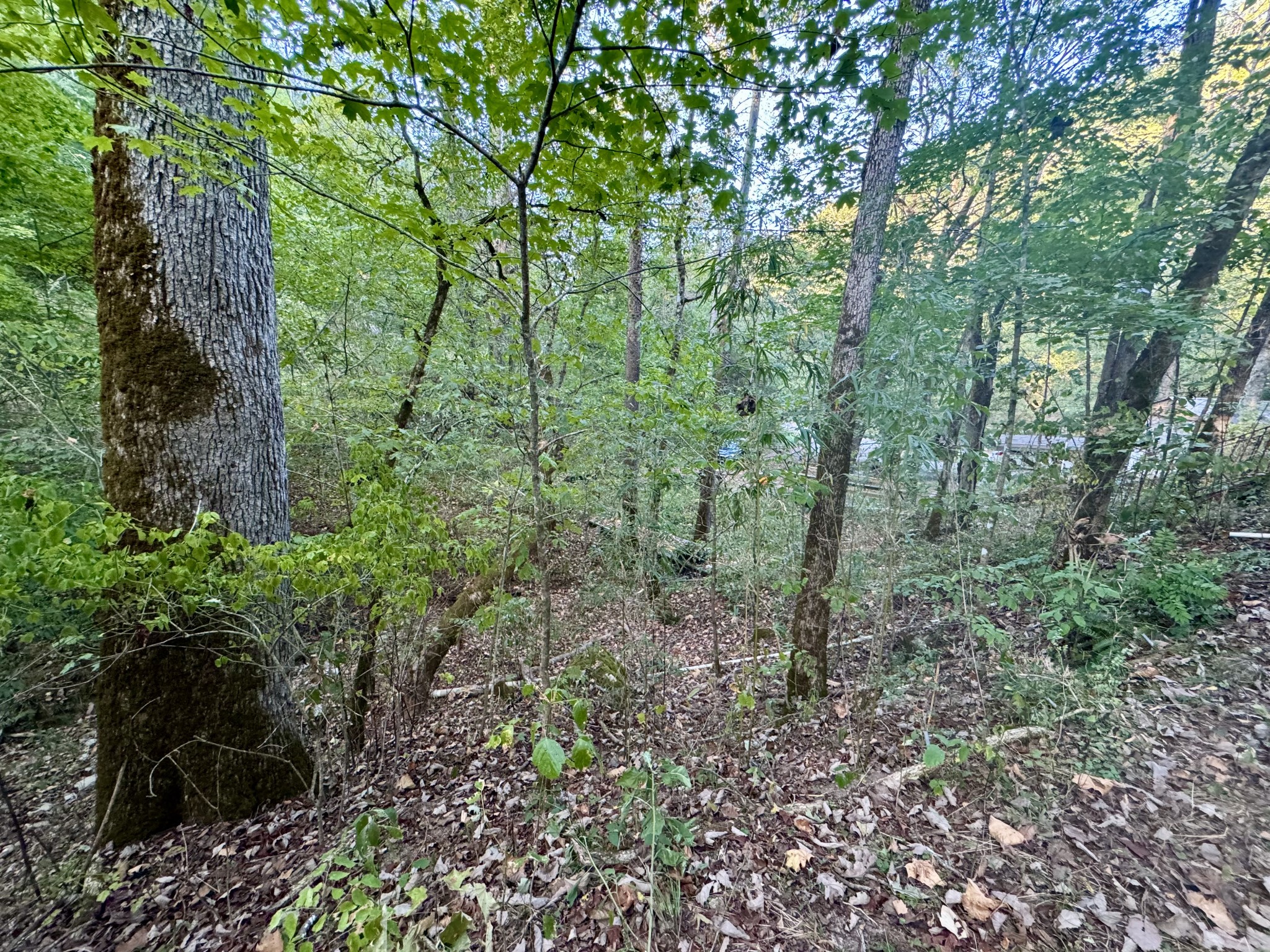 Image 20 of 39 For 5438 49th Avenue
