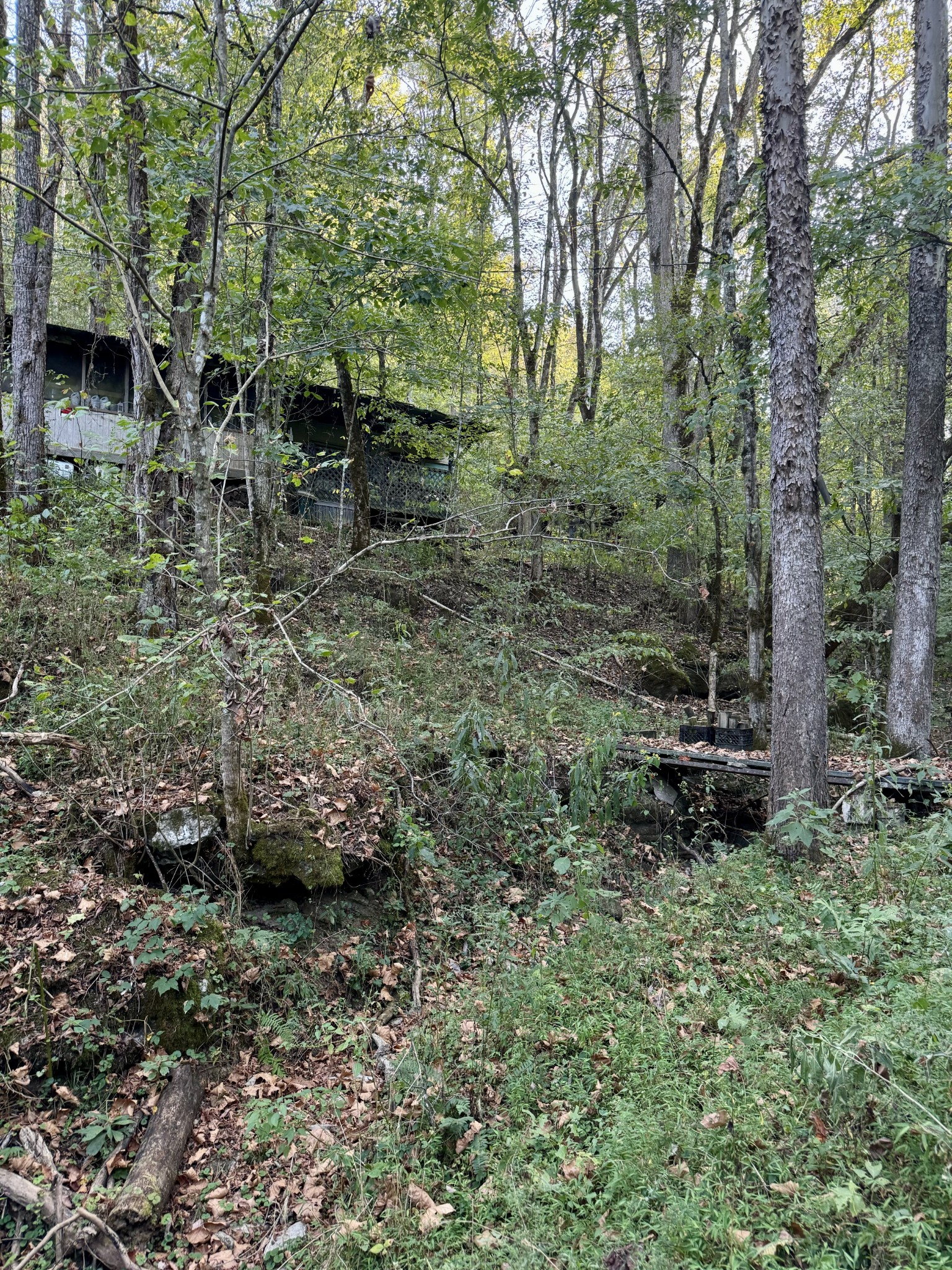Image 21 of 39 For 5438 49th Avenue