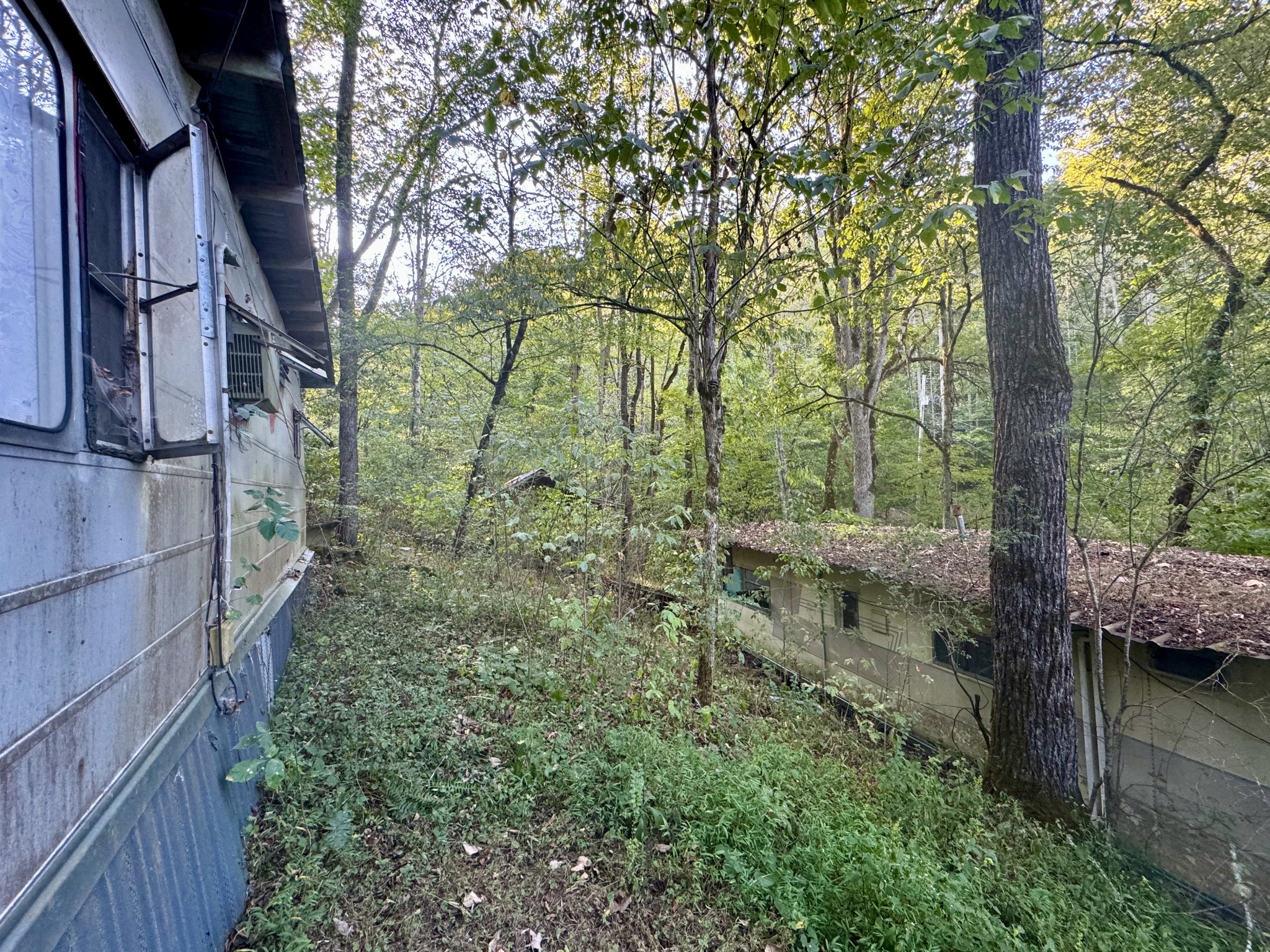 Image 9 of 39 For 5438 49th Avenue