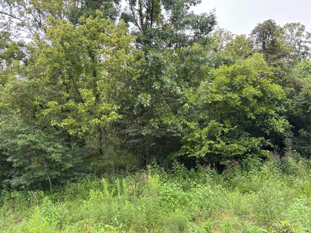 Image 4 of 47 For 3445 139th Lane