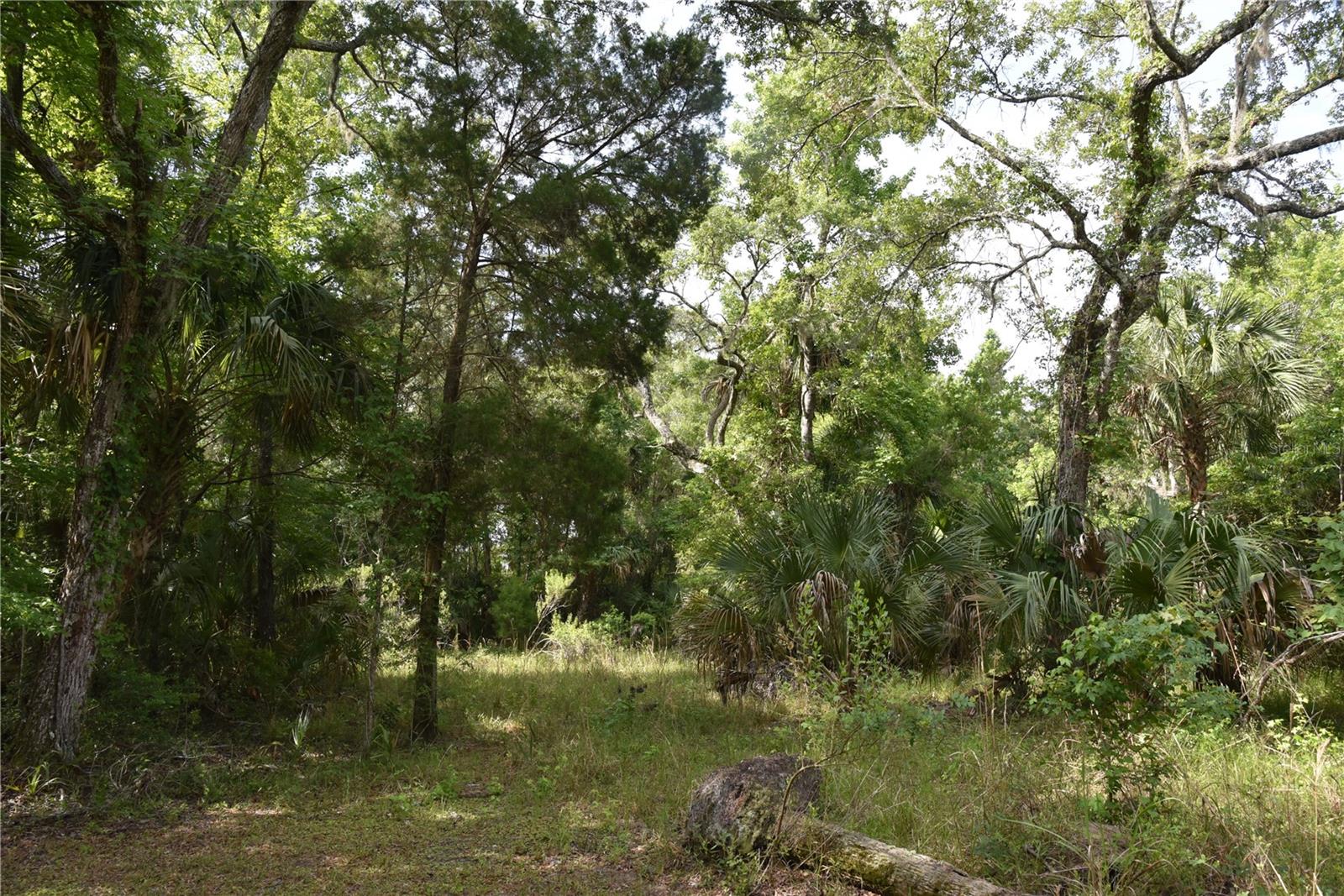Image 41 of 78 For 5011 193rd Place