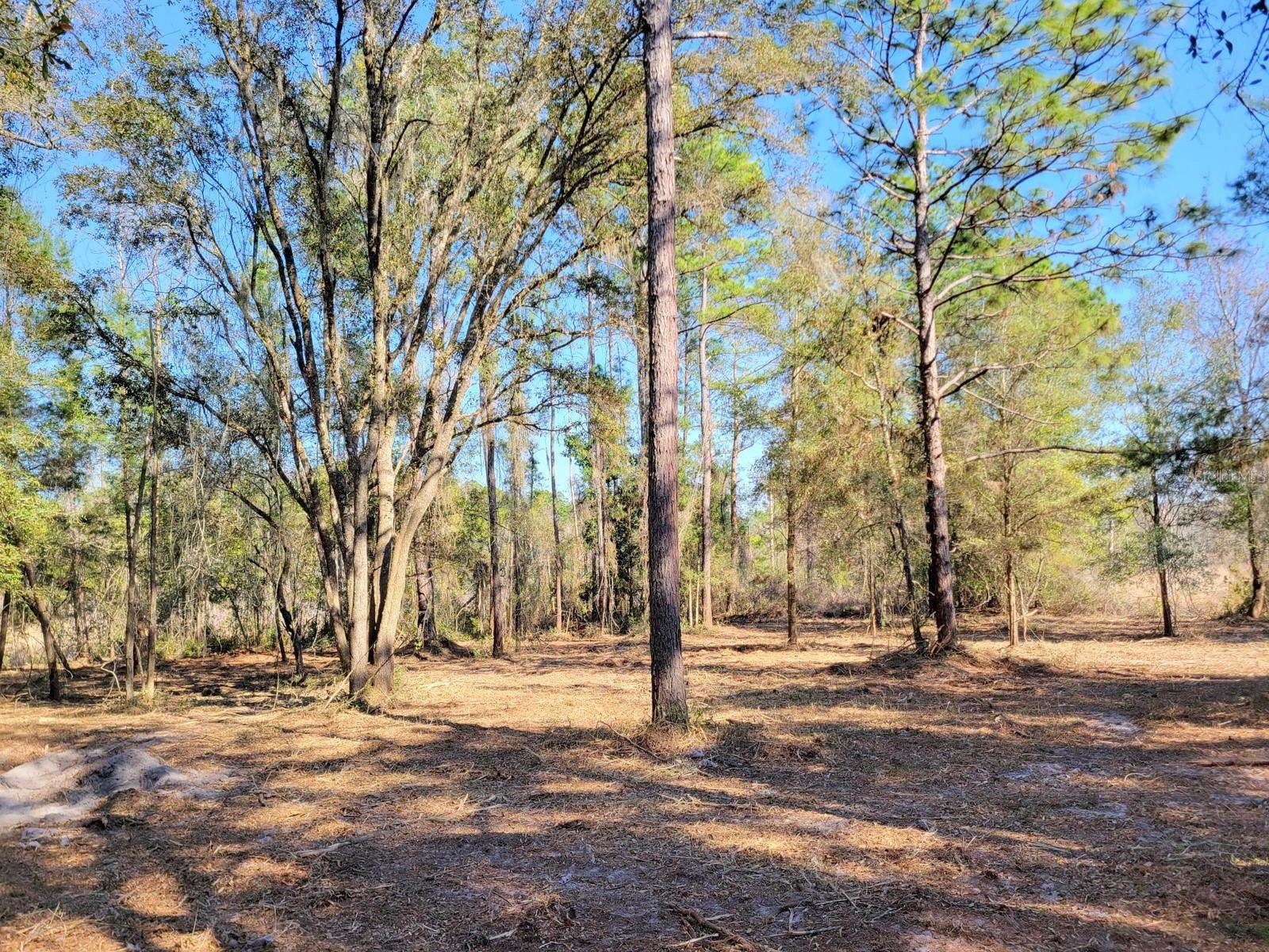 Image 2 of 5 For 3.57ac 315 Highway 32