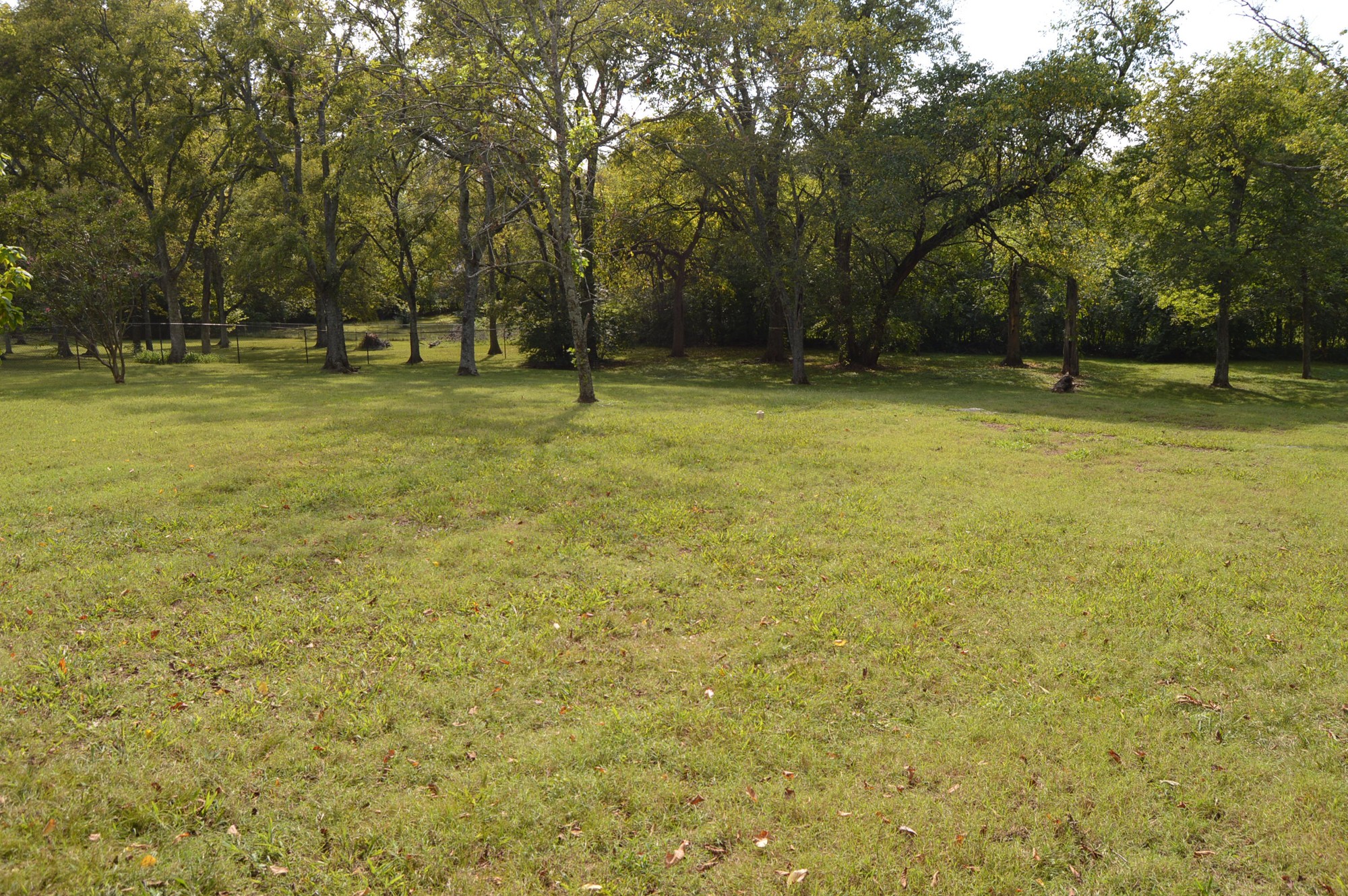 Listing photo id 3 for 8276 Star Blaze Drive