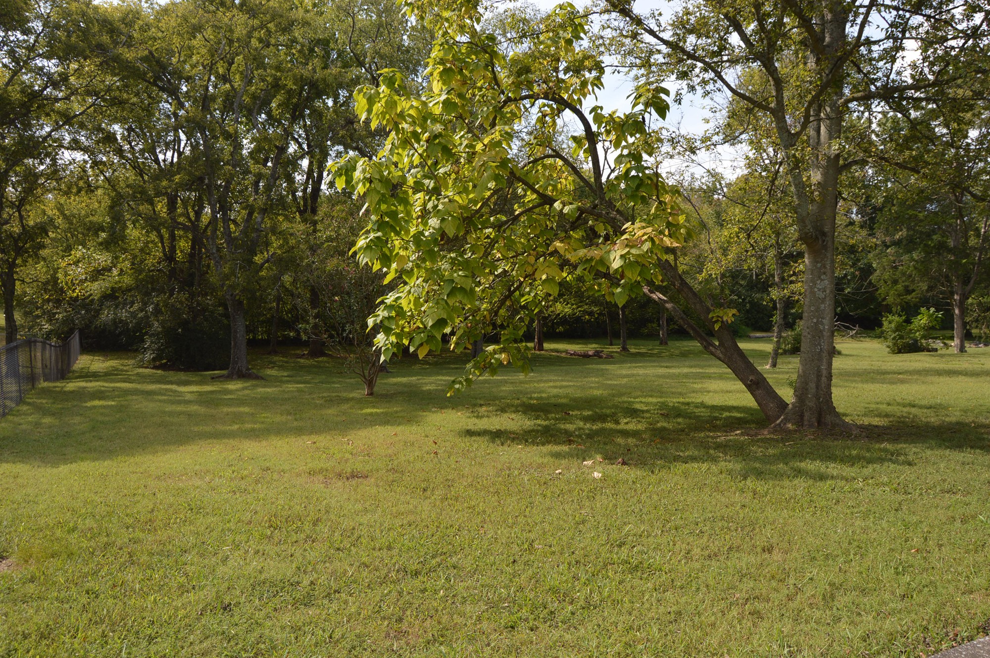 Listing photo id 6 for 8276 Star Blaze Drive