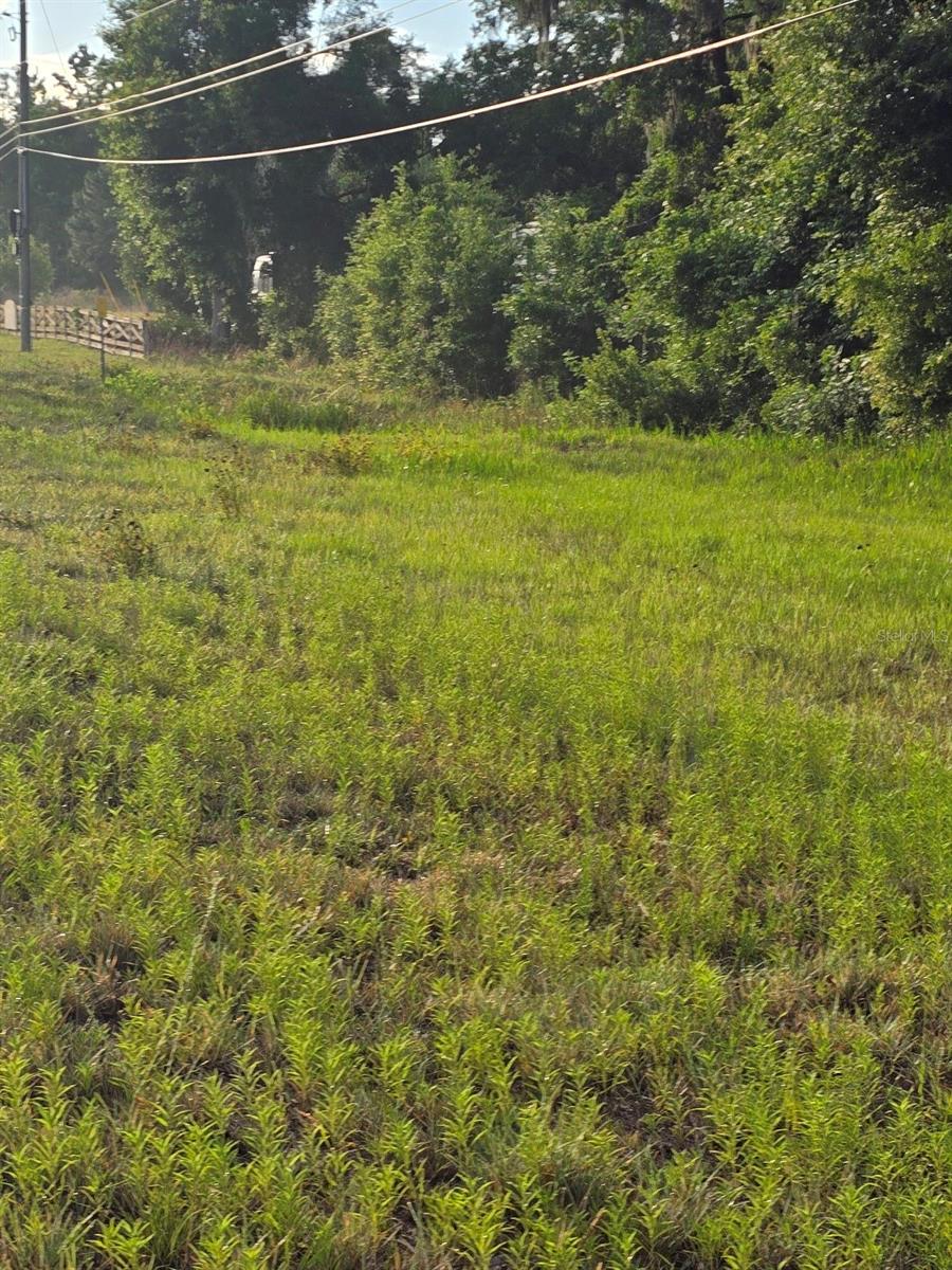Image 6 of 8 For Hathaway - Hwy 27