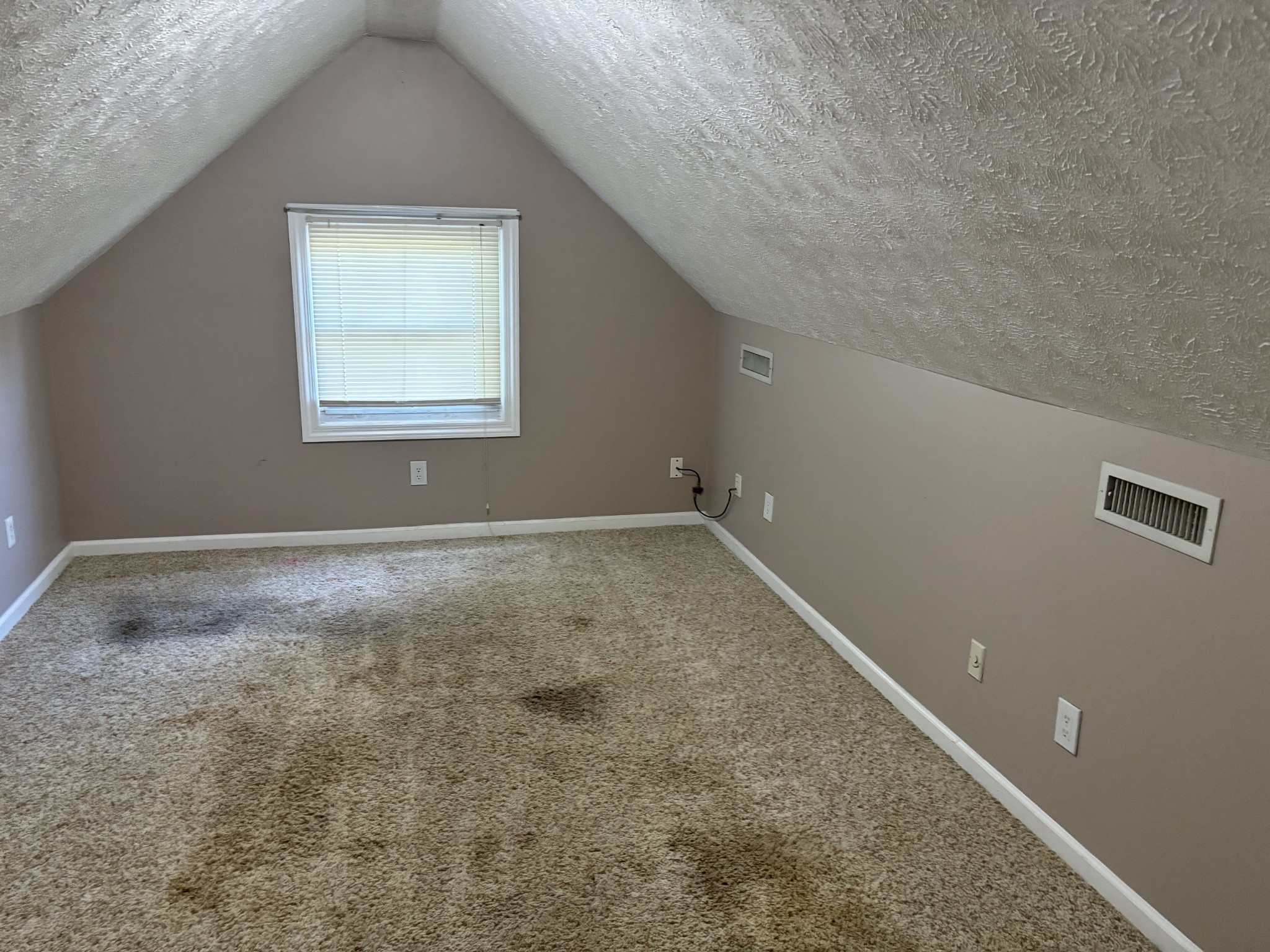Listing photo id 3 for 205 Bengal Circle