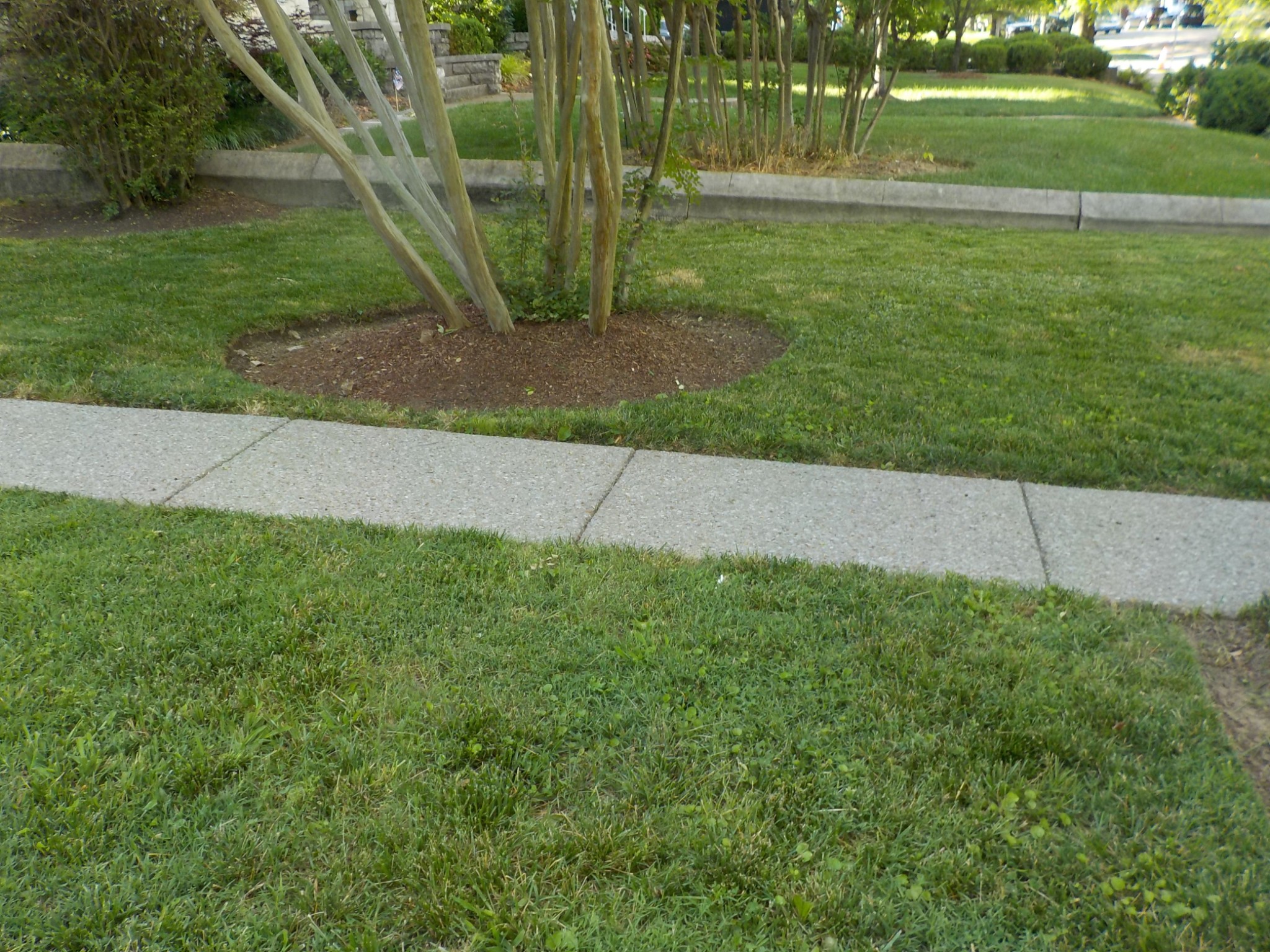 Image 2 of 4 For 00 Sequoia Dr