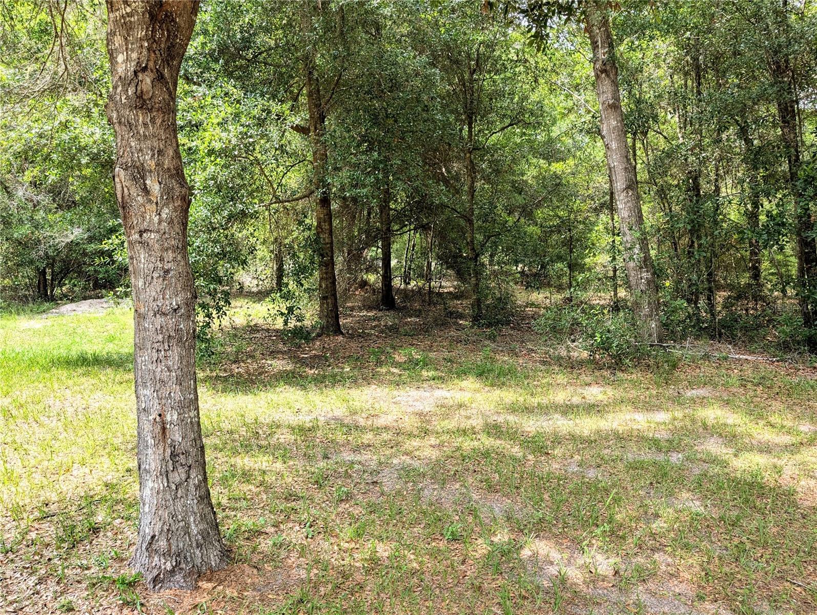 Image 21 of 37 For 13921 108th Lane