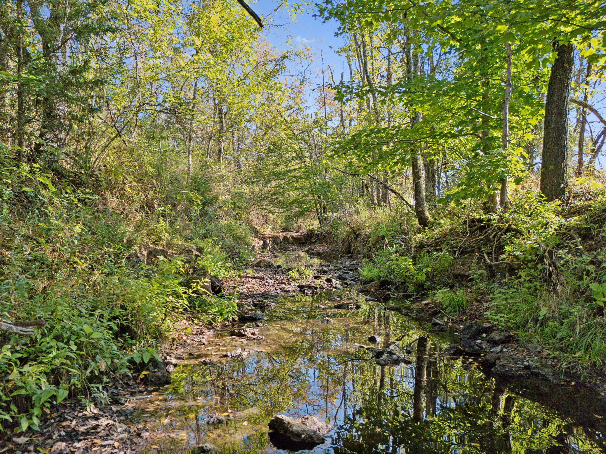 Image 4 of 8 For 15455 100th Avenue Road