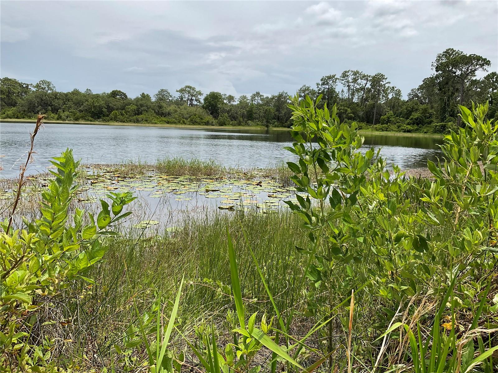 Details for Tbd Lot 58 Malauka Radial Trail, OCKLAWAHA, FL 32179