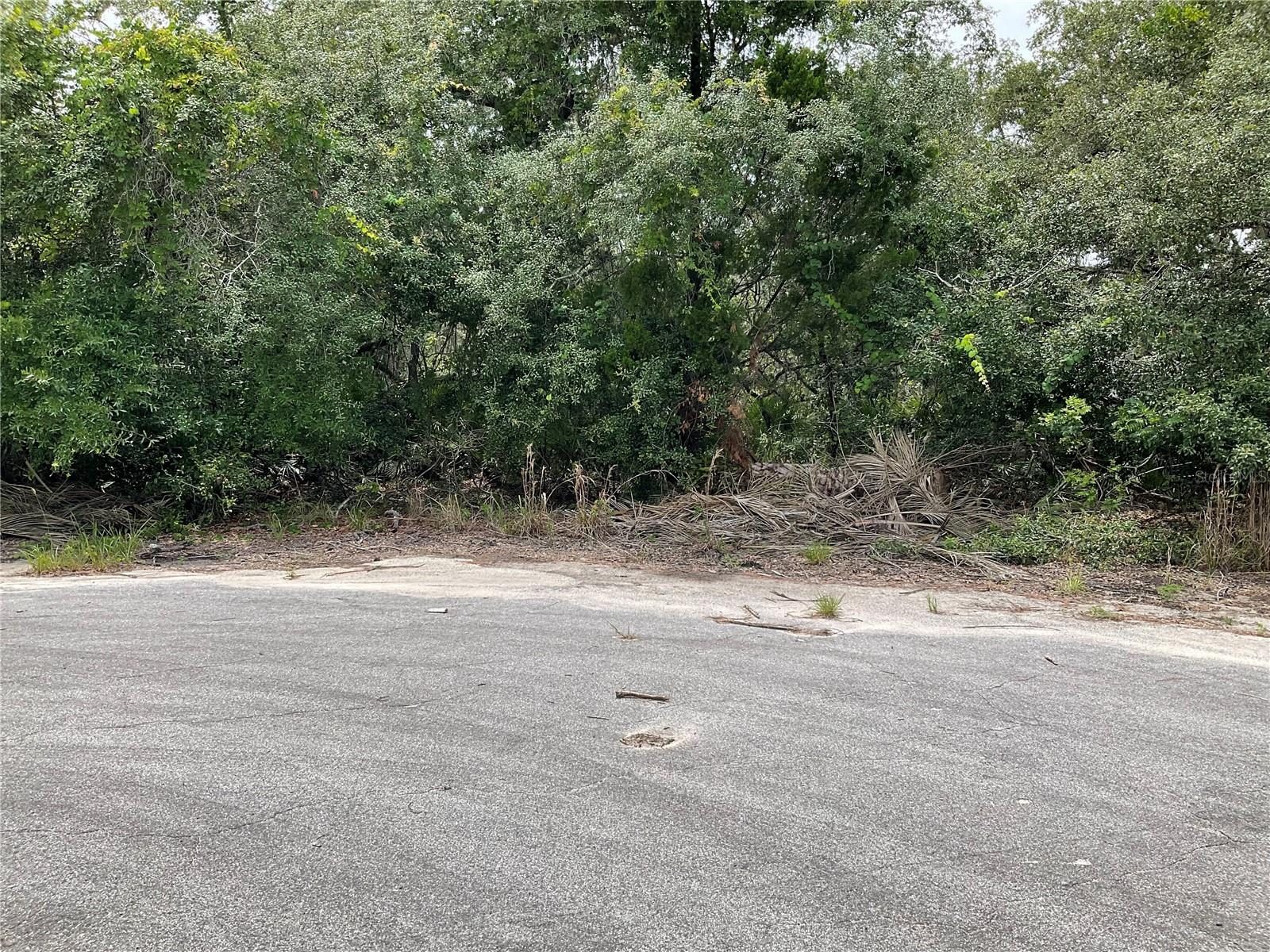 Image 3 of 5 For Tbd Lot 58 Malauka Radial Trail