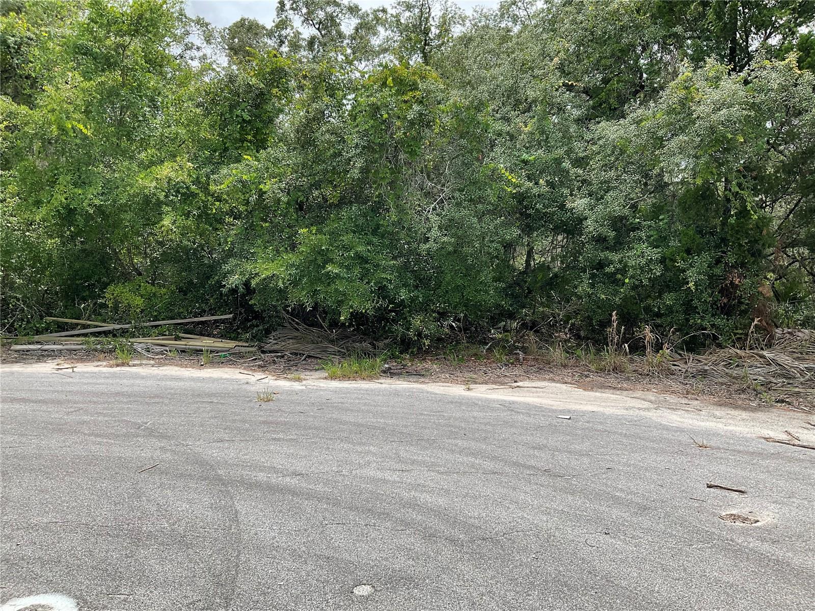 Image 4 of 5 For Tbd Lot 58 Malauka Radial Trail