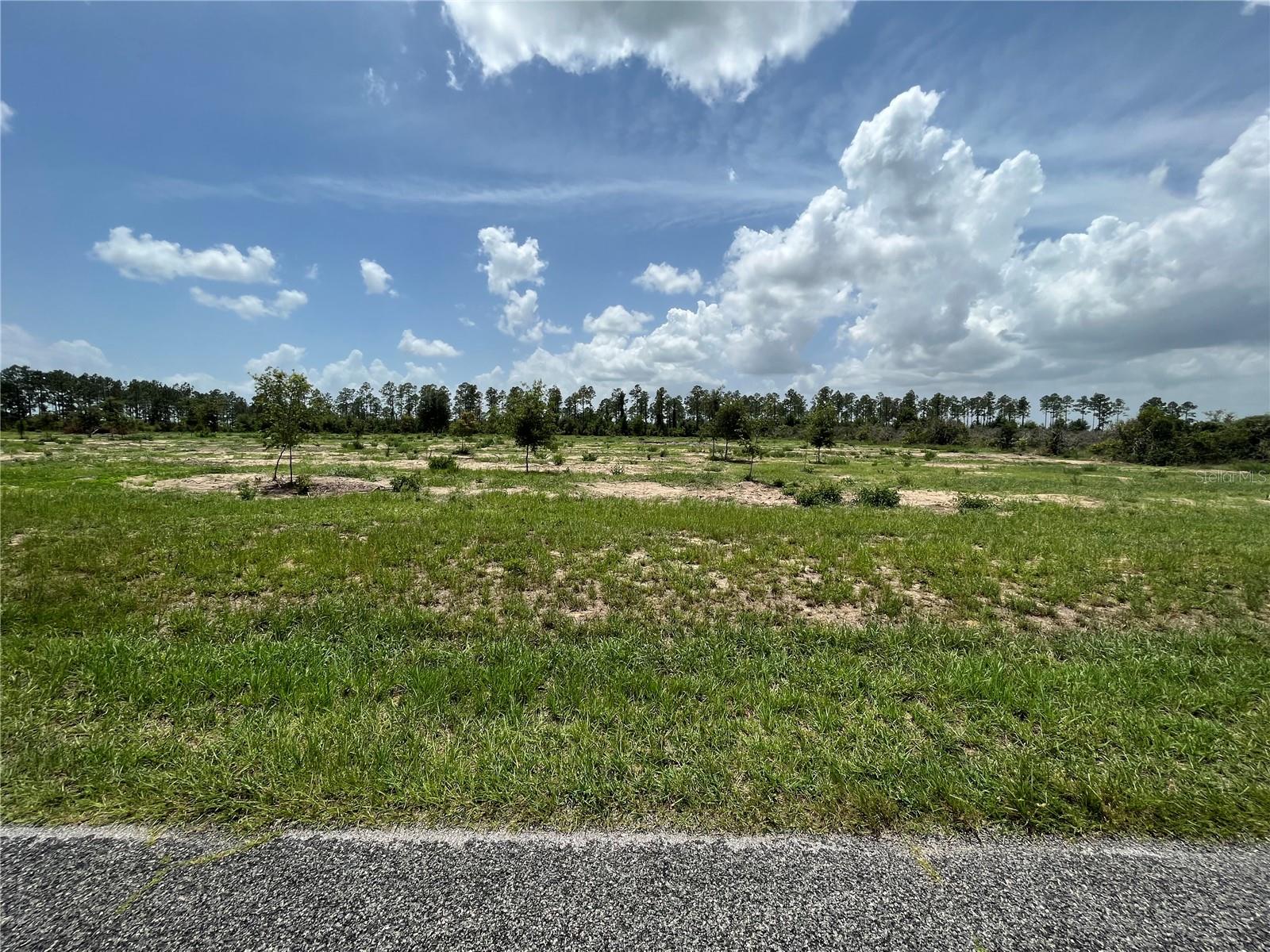 Details for 00000 170th Avenue, WEIRSDALE, FL 32195