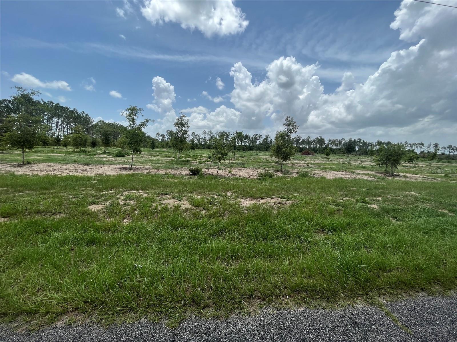 Image 6 of 16 For 00000 170th Avenue