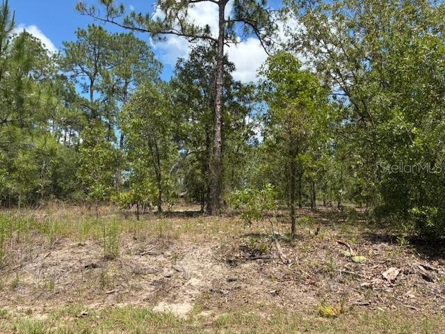 Details for Tbd Southview Court, DUNNELLON, FL 34431