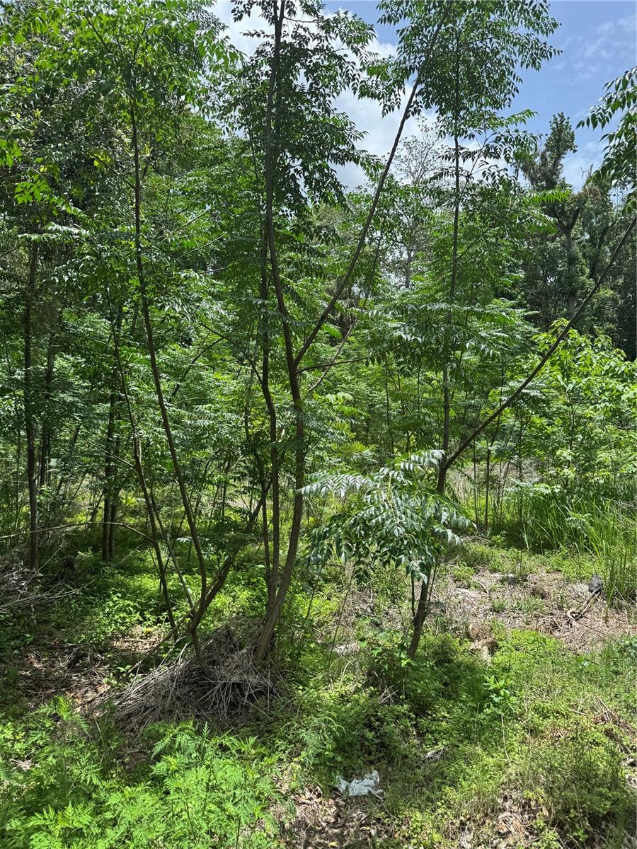 Listing Details for 00 61st Court, SUMMERFIELD, FL 34491