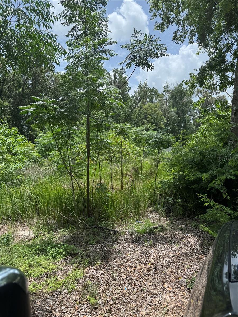 Listing Details for 00 61st Court, SUMMERFIELD, FL 34491