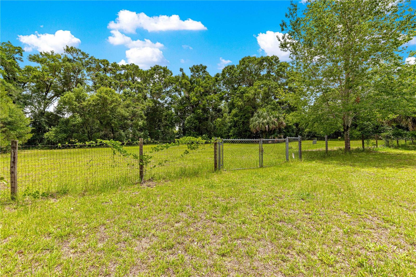 Image 39 of 45 For 5445 Anthony Road